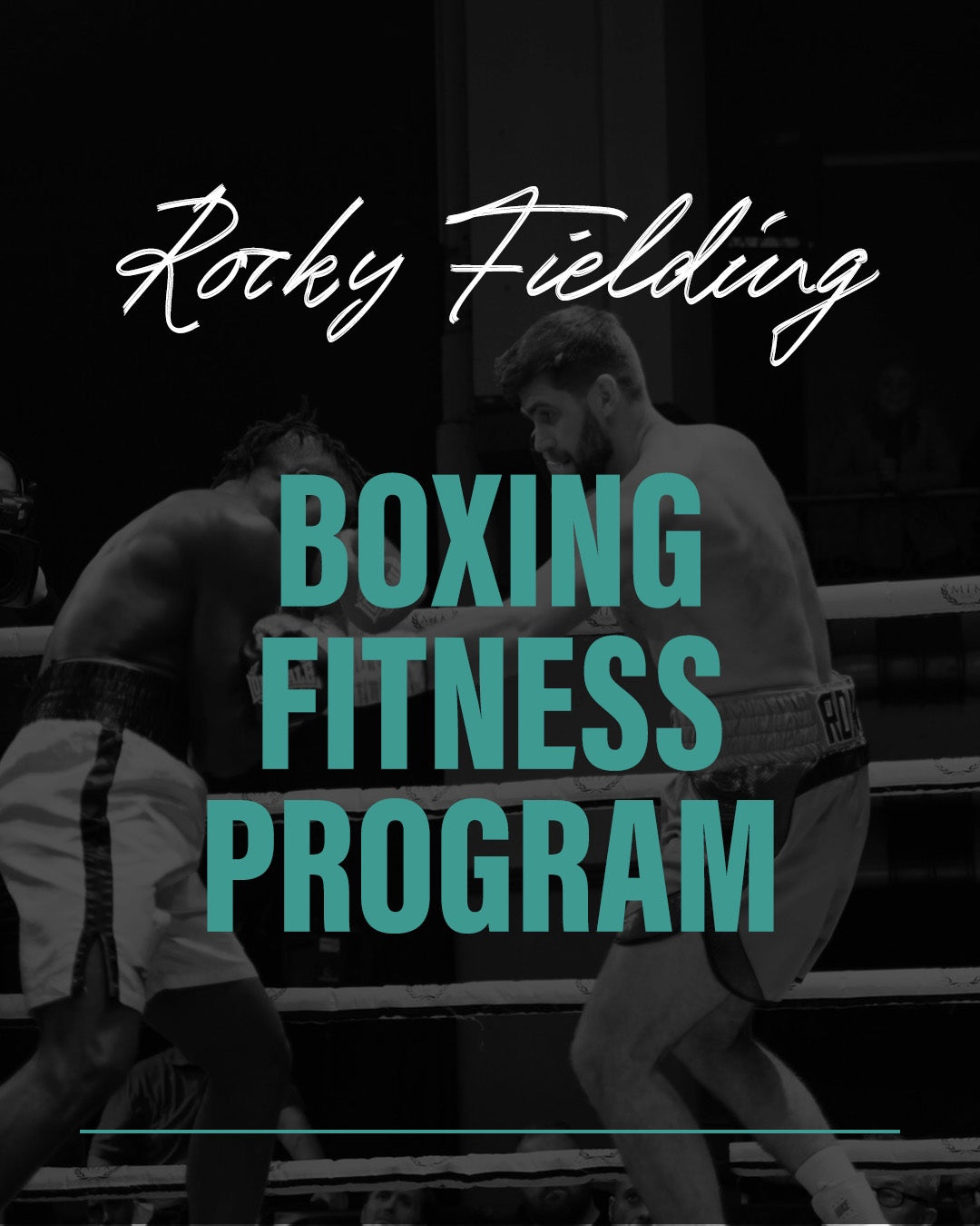 Rocky Fielding Boxing Fitnes Program